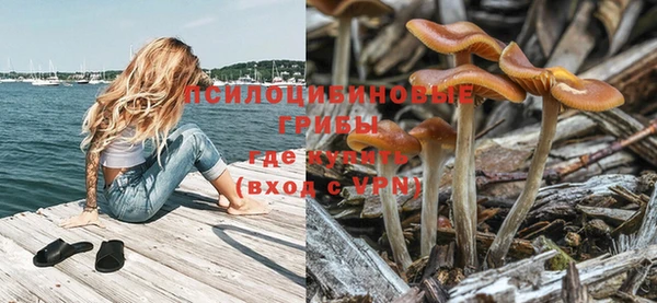 твердый Медвежьегорск