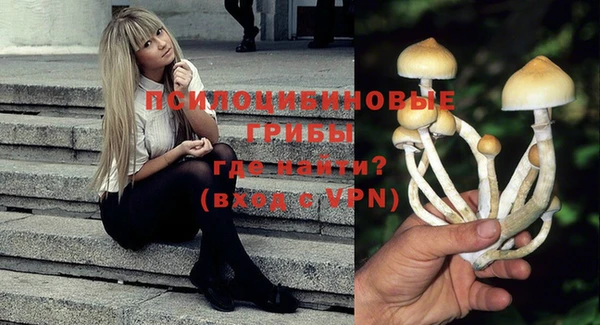 крисы Мегион