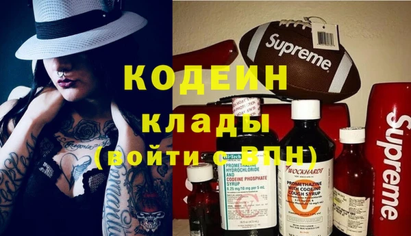 крисы Мегион