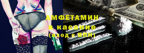 крисы Мегион