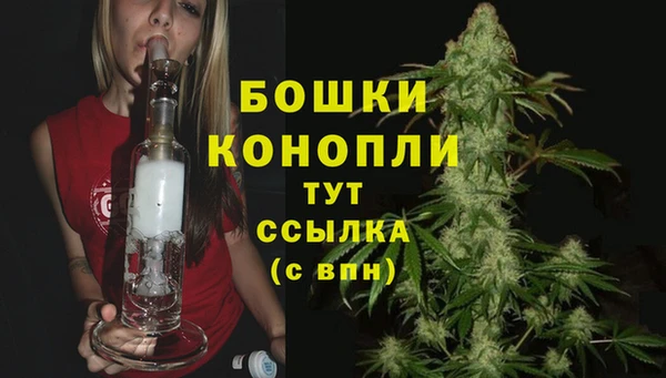 PSILOCYBIN Нягань