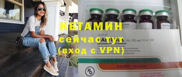 крисы Мегион