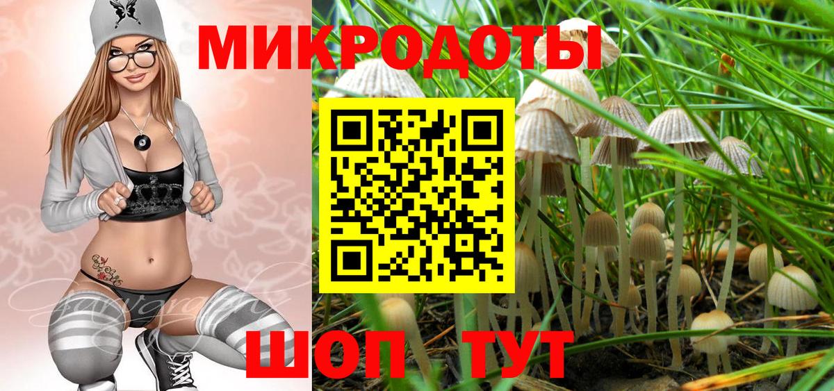 Гашиш Саки